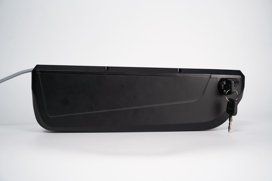 Panasonic 48V 16Ah у боксі